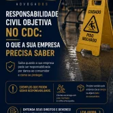 responsabilidade civil copiar